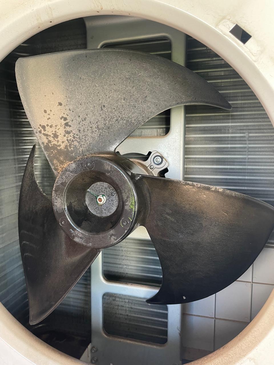 Imagem do WhatsApp de 2025-05-07 à(s) 16.38.20_c0e29fd2